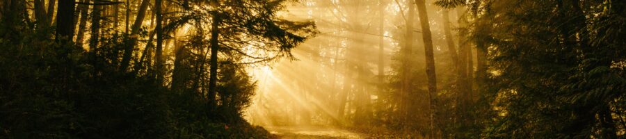 Jude 24-25 – The God Who is Able