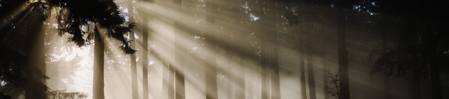 The Primacy of Knowing God