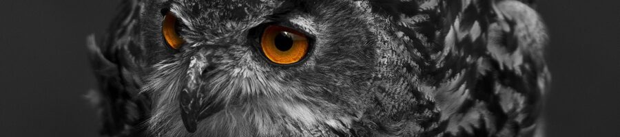 Discernment for Leaders – Joshua the Apprentice