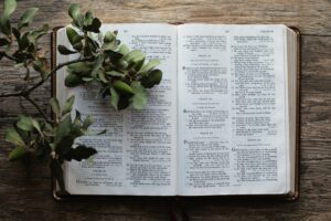 Understanding the Nature of the Gospel
