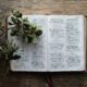 Understanding the Nature of the Gospel